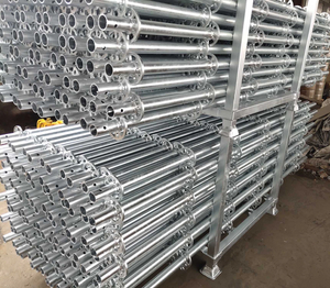 1m 2m 3m 4m Impalcatura Ringlock Standard verticale 